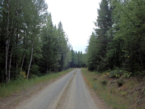 GDMBR, southbound, north of Cold Creek, MT.